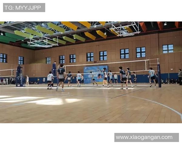 上海排球队在杯赛中的实力展现与未来发展潜力分析